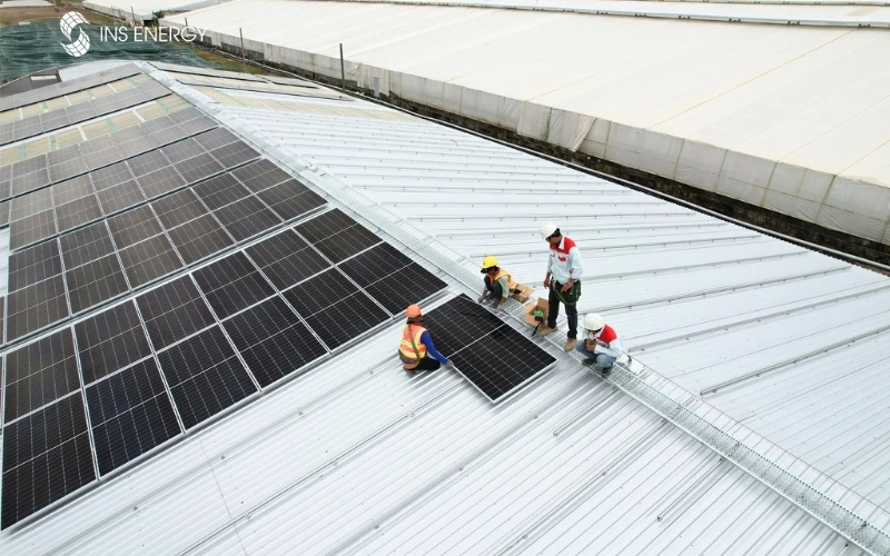 INS Energy Completes Solar Power Project for Shrimp Hatchery