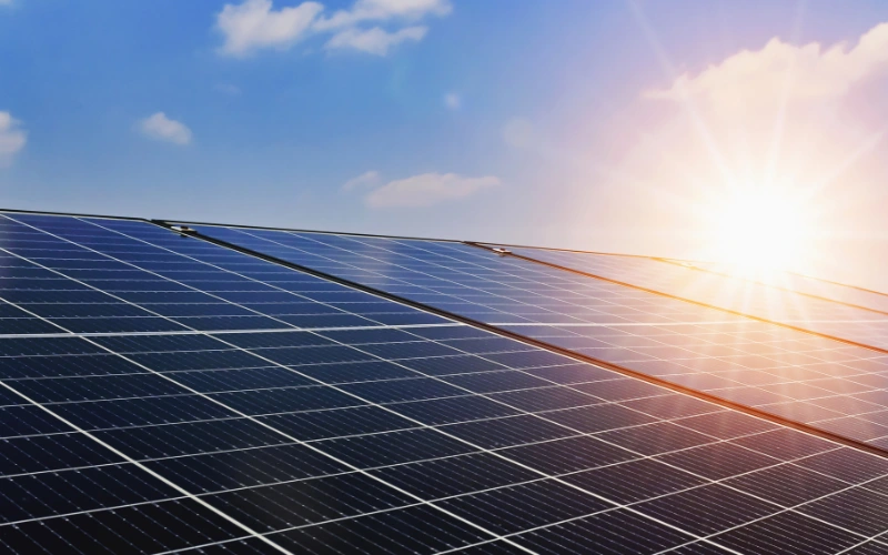 Specialized Services: From Management to Operation of Solar Power Systems