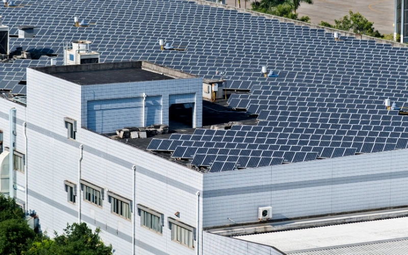 Special Incentives for Businesses Investing in Renewable Energy