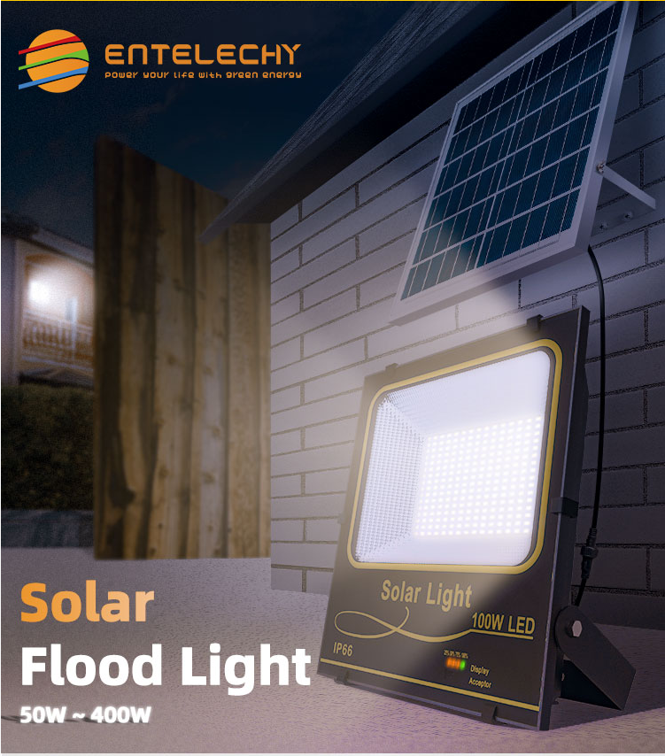 Entelechy 50W solar floodlight
