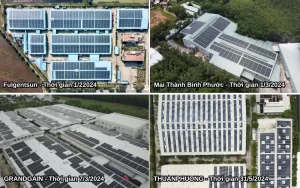 INS ENERGY – TỔNG KẾT 2024, VƯƠN TẦM 2025