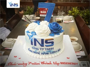 INS Energy 7 năm dẫn bước ngành năng lượng tái tạo Việt Nam